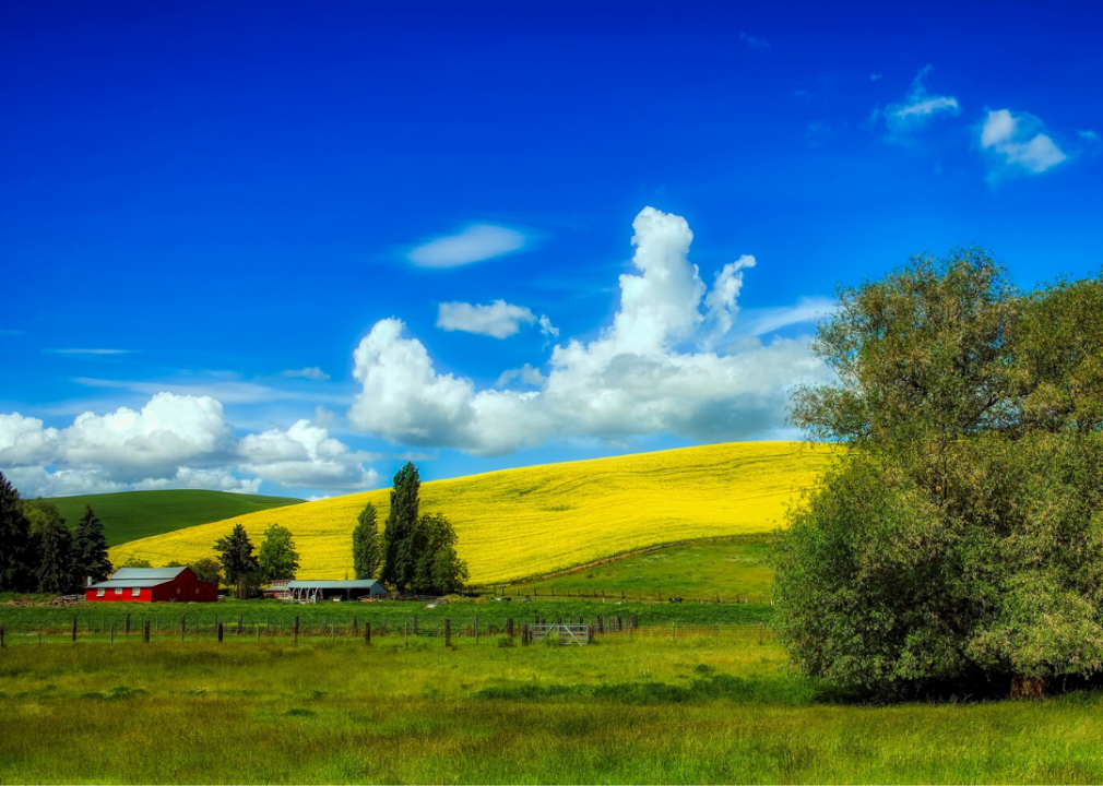 #46. Idaho
